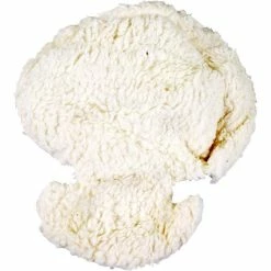 Melia Main Reducer Plus 0-9 Mnd Schaap