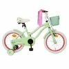 Amigo Flower 16 Tommer Pigecykel Pastel Grøn 1 Amigo Flower 16 Tommer Pigecykel Pastel Grøn -Cykler til børn butik Flower 16 pastel groen.w1200